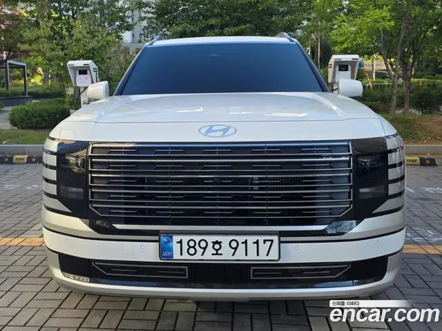 Hyundai Palisade, 2025, 3 100 км