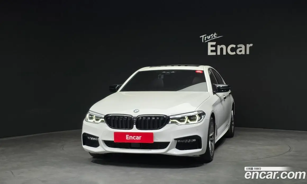 BMW 5 серия 2017 2.0 автомат (гидро), фото 3