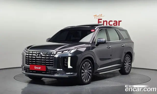 Hyundai Palisade, 2023, 32 100 км