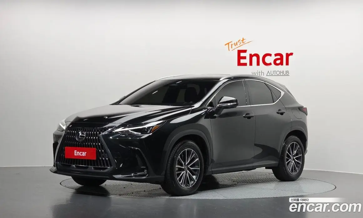 Lexus NX 2025 2.5 автомат (гидро), фото 1 Lexus NX 2025 2.5 автомат (гидро), фото 1