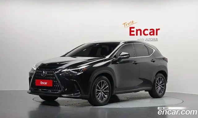 Lexus NX 2025 2.5 автомат (гидро), миниатюра 1 Lexus NX 2025 2.5 автомат (гидро), миниатюра 1