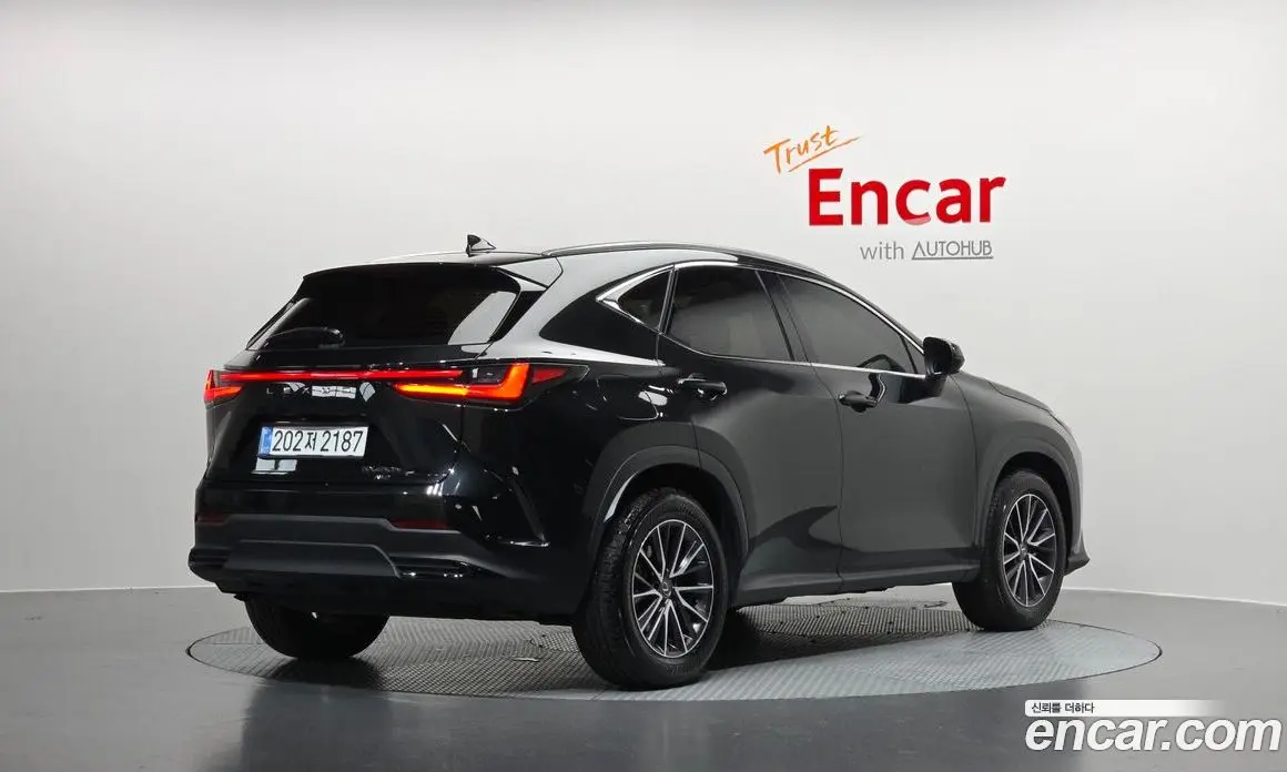 Lexus NX 2025 2.5 автомат (гидро), фото 2 Lexus NX 2025 2.5 автомат (гидро), фото 2