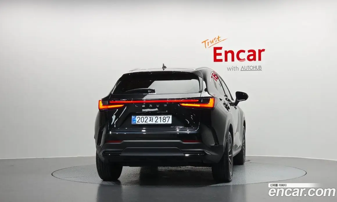 Lexus NX 2025 2.5 автомат (гидро), фото 4 Lexus NX 2025 2.5 автомат (гидро), фото 4
