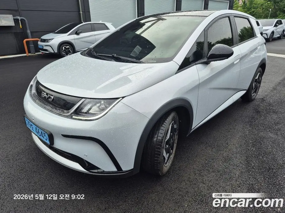 BYD Dolphin 2026 0.1 автомат (гидро), фото 1 BYD Dolphin 2026 0.1 автомат (гидро), фото 1