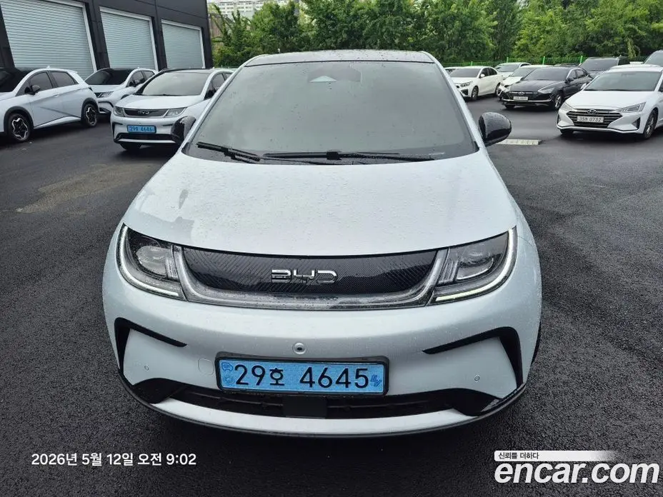 BYD Dolphin 2026 0.1 автомат (гидро), фото 3 BYD Dolphin 2026 0.1 автомат (гидро), фото 3