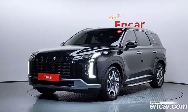 Hyundai Palisade, 2024, 27 610 км