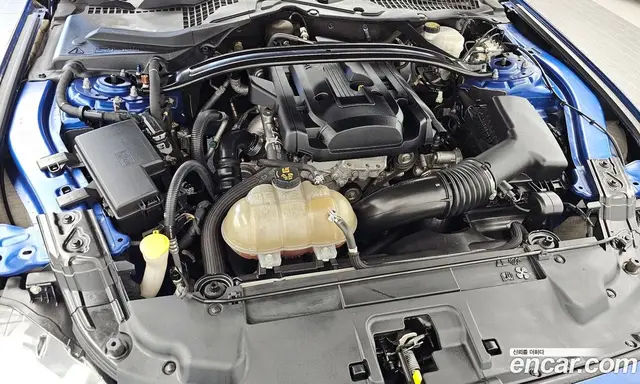 Ford Mustang 2018 2.3 автомат (гидро), миниатюра 6 Ford Mustang 2018 2.3 автомат (гидро), миниатюра 6