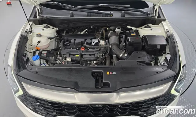 Kia Sportage 2024 1.6 автомат (гидро), миниатюра 6