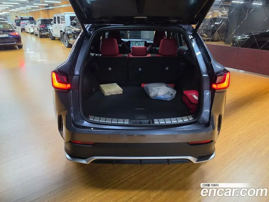 Lexus NX 2025 2.5 автомат (вариатор), фото 14 Lexus NX 2025 2.5 автомат (вариатор), фото 14