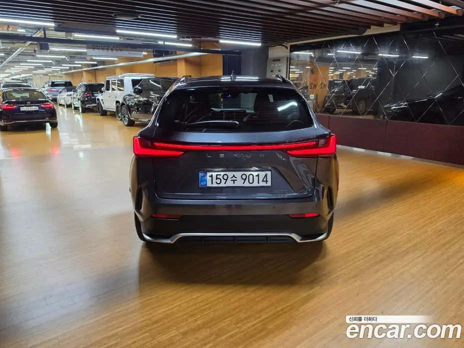 Lexus NX 2025 2.5 автомат (вариатор), фото 4 Lexus NX 2025 2.5 автомат (вариатор), фото 4