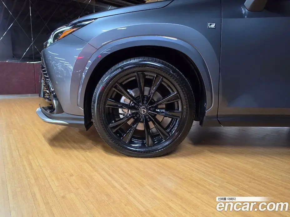 Lexus NX 2025 2.5 автомат (вариатор), фото 5 Lexus NX 2025 2.5 автомат (вариатор), фото 5