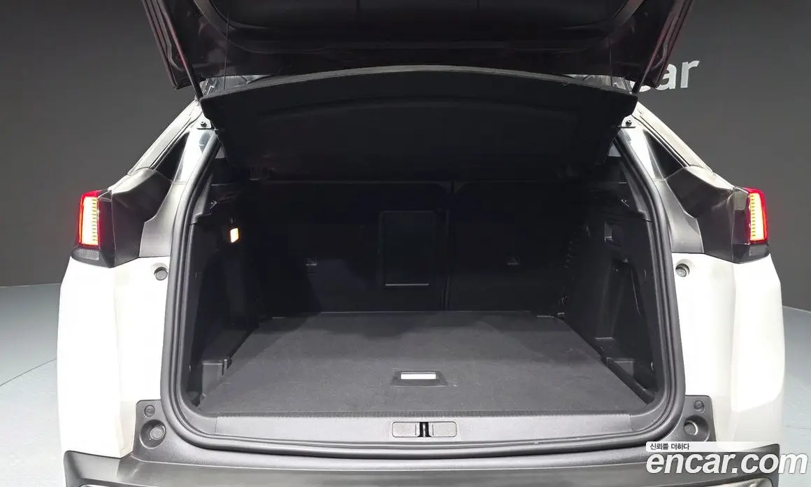 Peugeot 3008 2019 1.5 автомат (гидро), фото 26