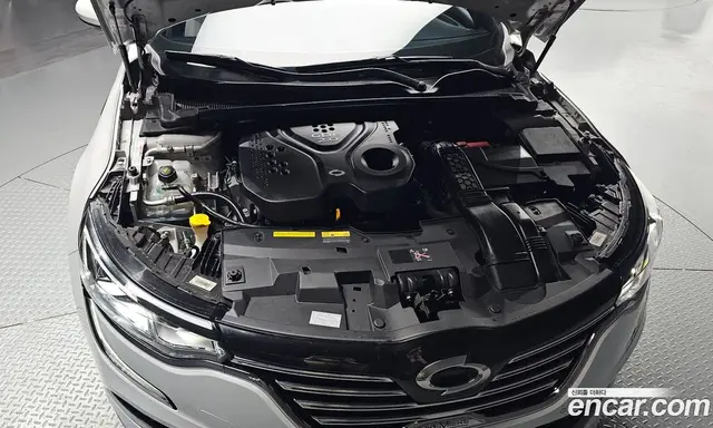 Renault (Samsung) SM6 2020 2.0 автомат (гидро), миниатюра 5