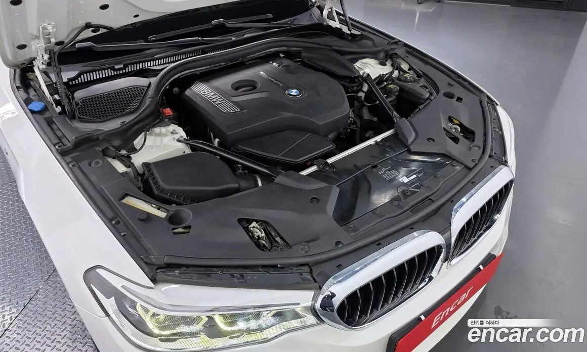 BMW 5 серия 2018 2.0 автомат (гидро), фото 6
