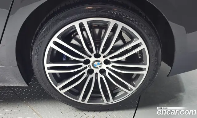 BMW 5 серия 2019 2.0 автомат (гидро), миниатюра 6