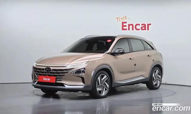 Hyundai Nexo, 2021, 41 953 км