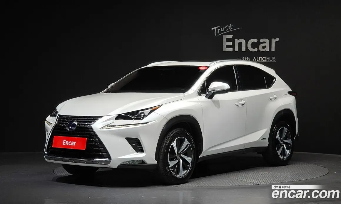 Lexus NX 2017 2.5 автомат (гидро), фото 1 Lexus NX 2017 2.5 автомат (гидро), фото 1
