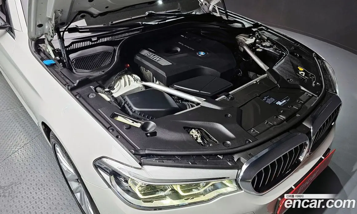 BMW 5 серия 2019 2.0 автомат (гидро), фото 6