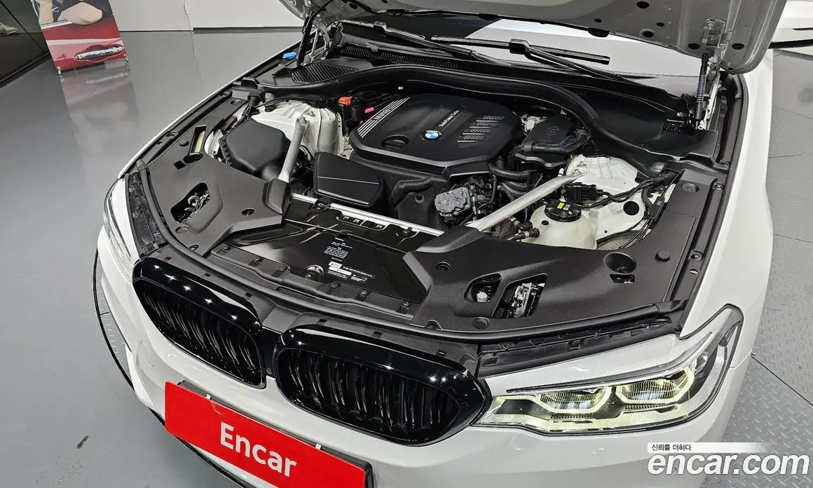 BMW 5 серия 2019 2.0 автомат (гидро), фото 6