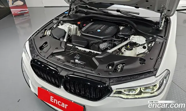 BMW 5 серия 2019 2.0 автомат (гидро), миниатюра 6