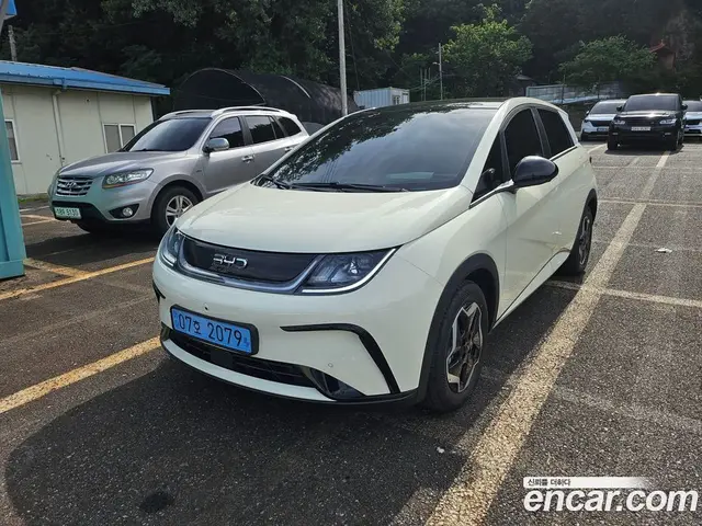 BYD Dolphin, 2026, 20 км BYD Dolphin, 2026, 20 км