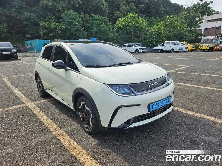 BYD Dolphin 2026 0.1 автомат (гидро), фото 2 BYD Dolphin 2026 0.1 автомат (гидро), фото 2