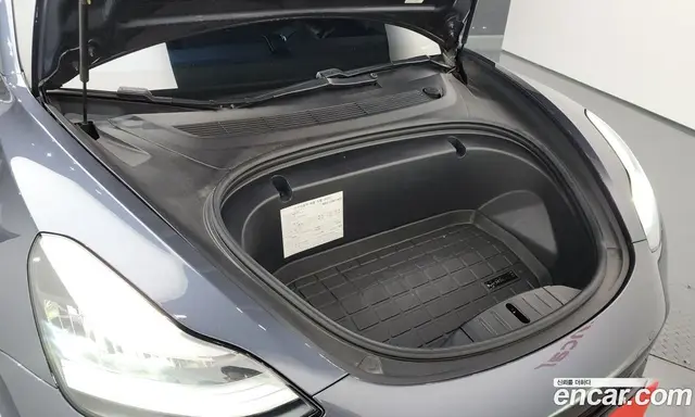 Tesla Model 3 2020 0.2 автомат (гидро), миниатюра 6 Tesla Model 3 2020 0.2 автомат (гидро), миниатюра 6