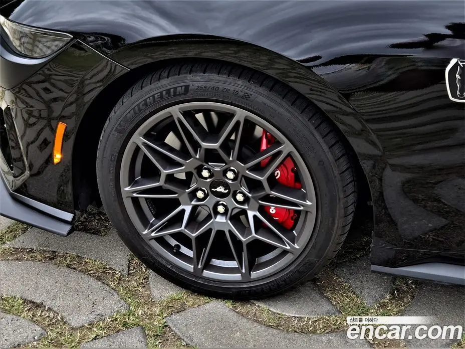 Ford Mustang 2025 5.0 автомат (гидро), фото 5