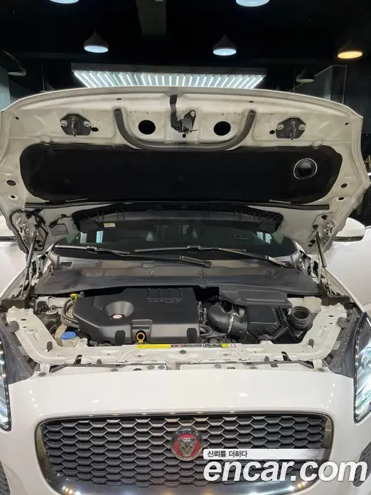 Jaguar E-Pace 2019 2.0 автомат (гидро), фото 9 Jaguar E-Pace 2019 2.0 автомат (гидро), фото 9