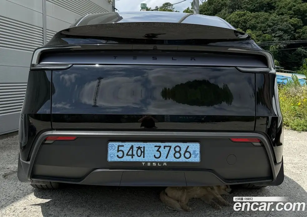 Tesla Model Y 2025 0.2 автомат (гидро), фото 4