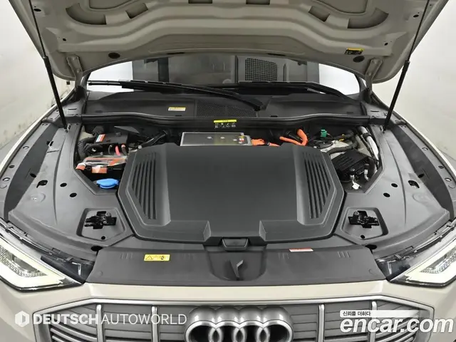 Audi e-tron 2020 0.2 автомат (гидро), миниатюра 6