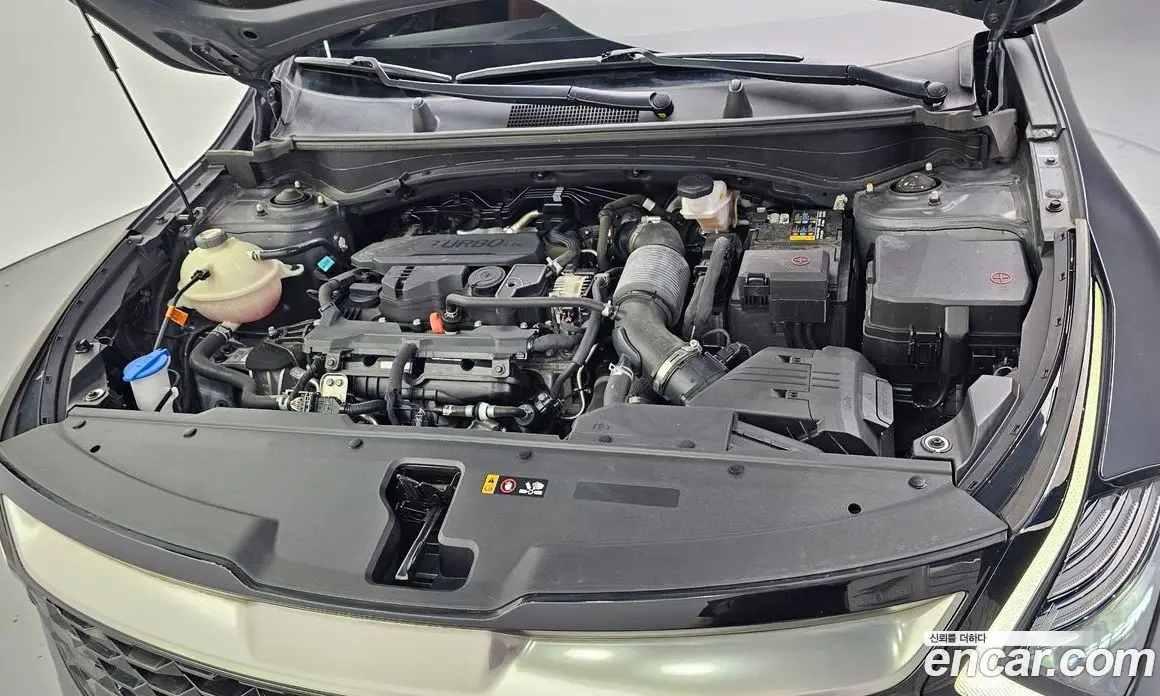 Kia Sportage 2021 1.6 автомат (гидро), фото 6
