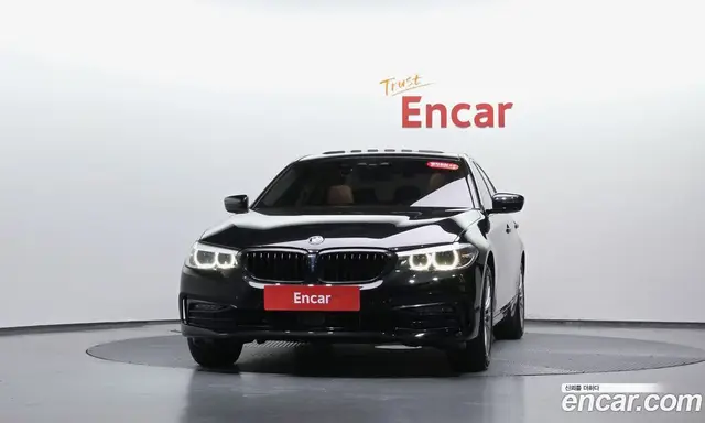 BMW 5 серия 2019 2.0 автомат (гидро), миниатюра 2