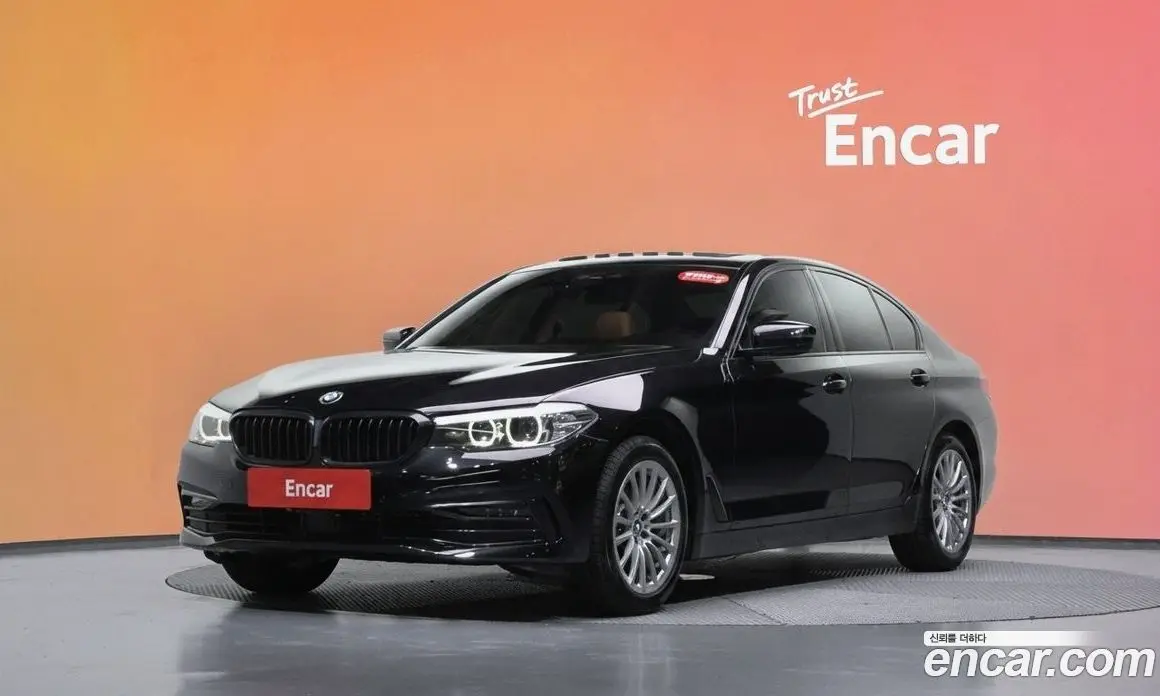 BMW 5 серия 2019 2.0 автомат (гидро), фото 32