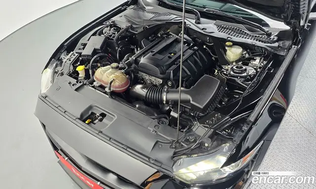 Ford Mustang 2017 2.3 автомат (гидро), миниатюра 6 Ford Mustang 2017 2.3 автомат (гидро), миниатюра 6