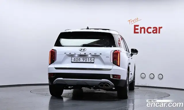 Hyundai Palisade 2019 2.2 автомат (гидро), миниатюра 4