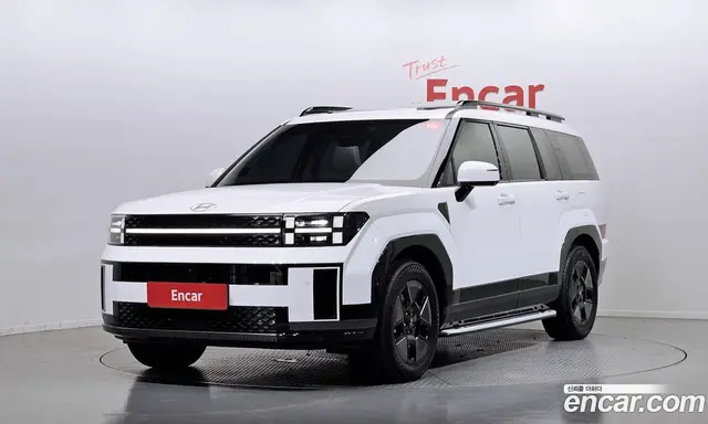Hyundai Santa Fe, 2024, 30 319 км