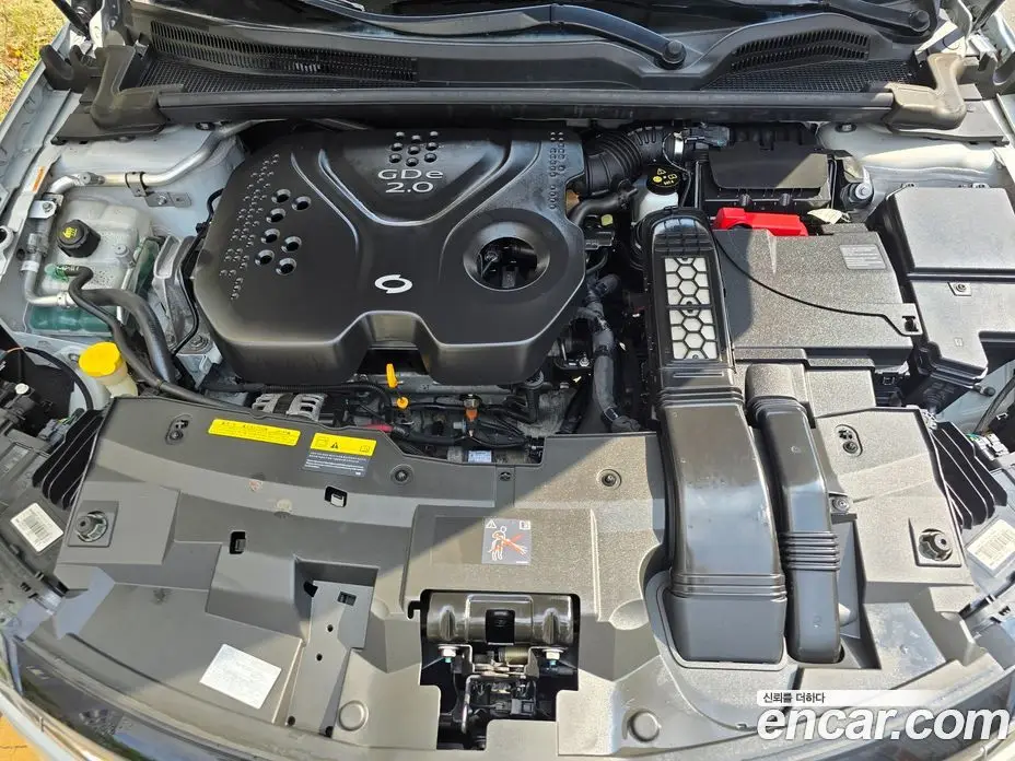 Renault (Samsung) SM6 2018 2.0 автомат (гидро), фото 14
