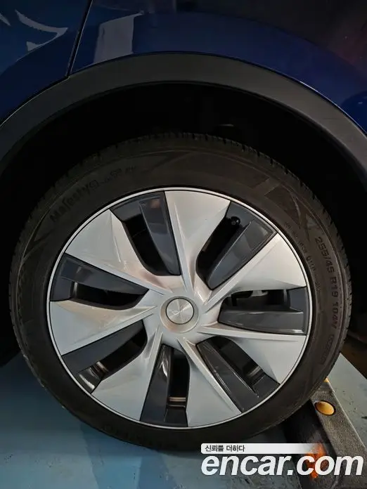 Tesla Model Y 2023 автомат (гидро), фото 10