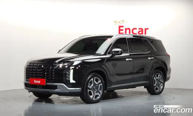 Hyundai Palisade, 2023, 41 497 км