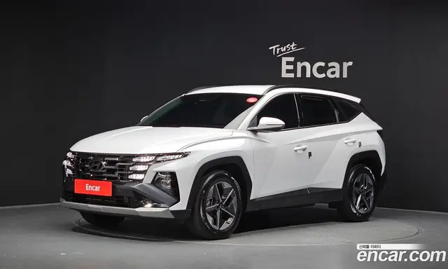 Hyundai Tucson, 2024, 30 933 км