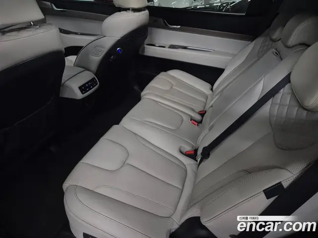 Hyundai Palisade 2021 3.8 автомат (гидро), миниатюра 7
