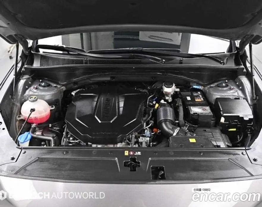 Hyundai Santa Fe 2023 2.2 автомат (гидро), фото 6