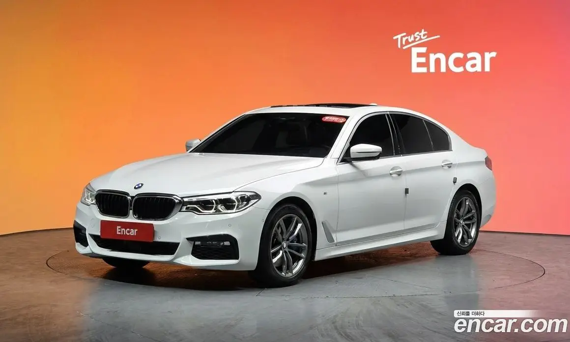 BMW 5 серия 2018 2.0 автомат (гидро), фото 20