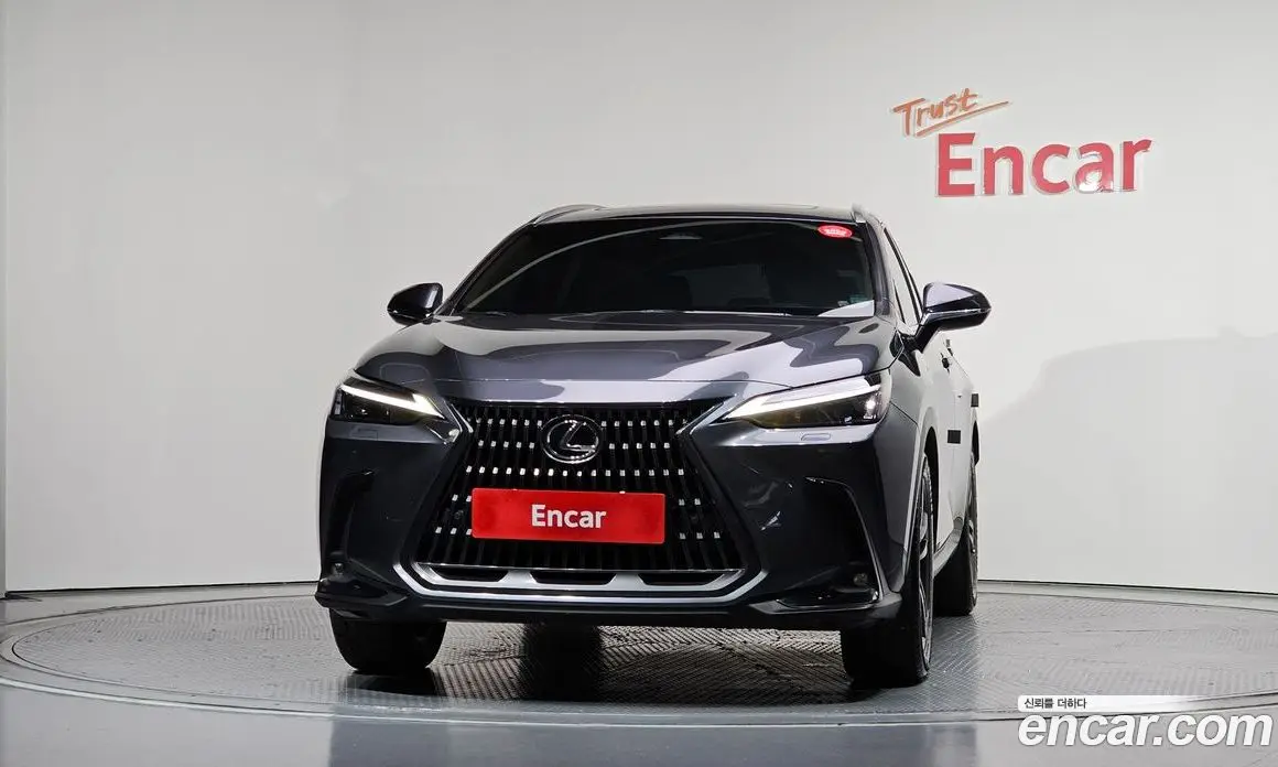 Lexus NX 2023 2.5 автомат (гидро), фото 3 Lexus NX 2023 2.5 автомат (гидро), фото 3