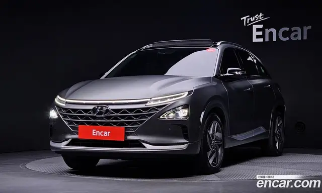 Hyundai Nexo, 2022, 45 366 км