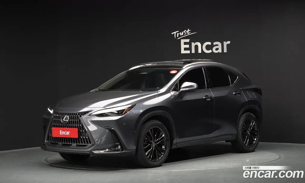 Lexus NX 2024 2.5 автомат (гидро), фото 1 Lexus NX 2024 2.5 автомат (гидро), фото 1