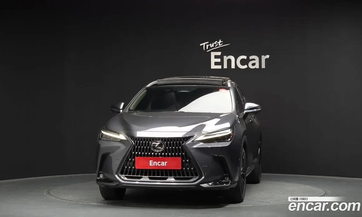 Lexus NX 2024 2.5 автомат (гидро), фото 3 Lexus NX 2024 2.5 автомат (гидро), фото 3