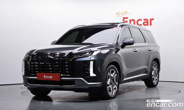 Hyundai Palisade, 2022, 18 239 км