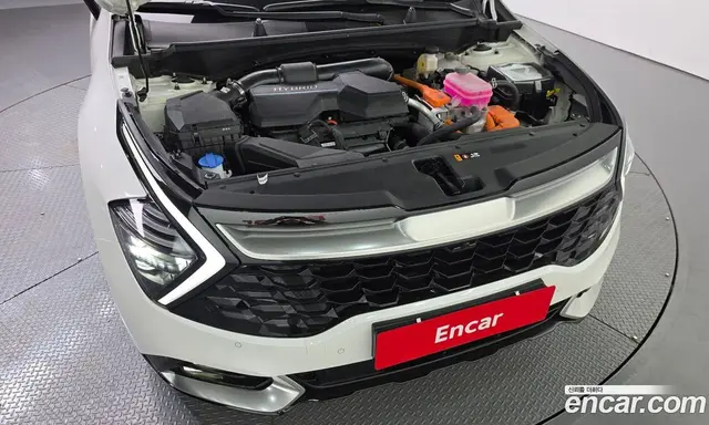 Kia Sportage 2024 1.6 автомат (гидро), миниатюра 6 Kia Sportage 2024 1.6 автомат (гидро), миниатюра 6